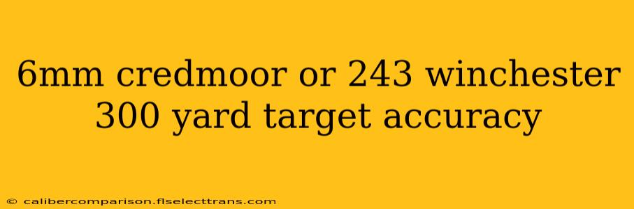 6mm credmoor or 243 winchester 300 yard target accuracy