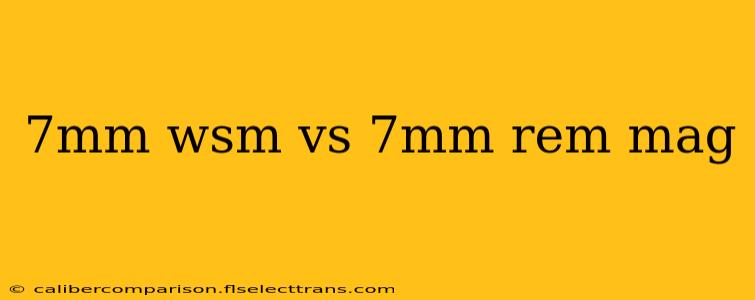 7mm wsm vs 7mm rem mag