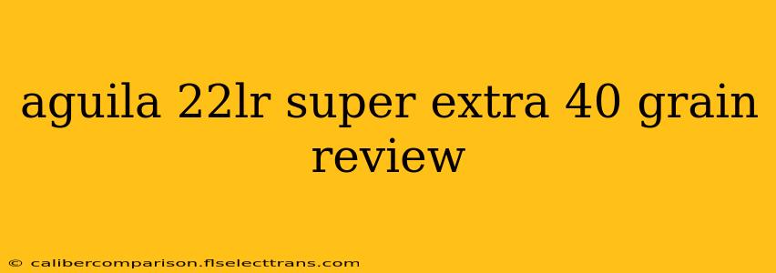 aguila 22lr super extra 40 grain review