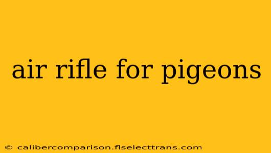 air rifle for pigeons