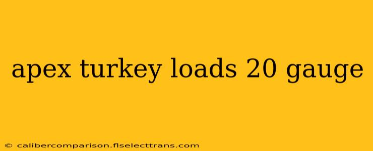 apex turkey loads 20 gauge