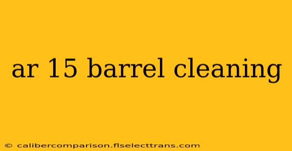 ar 15 barrel cleaning