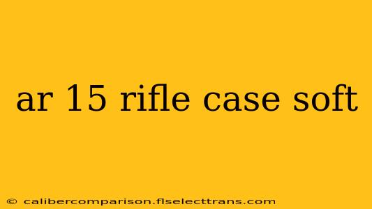 ar 15 rifle case soft