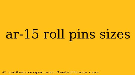 ar-15 roll pins sizes