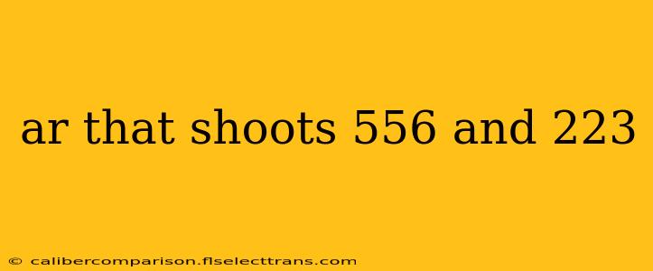 ar that shoots 556 and 223