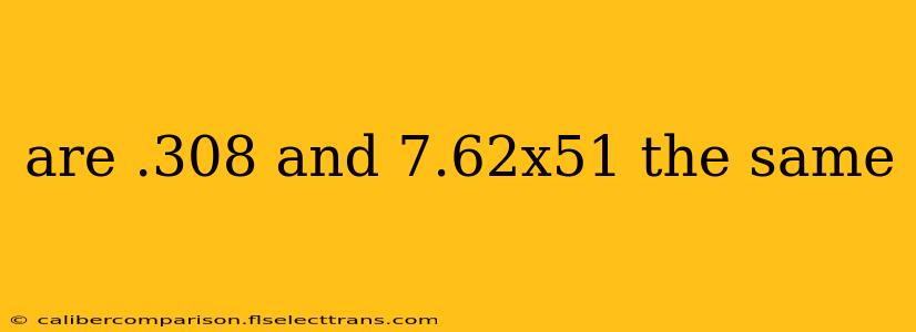 are .308 and 7.62x51 the same