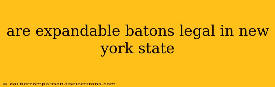 are expandable batons legal in new york state