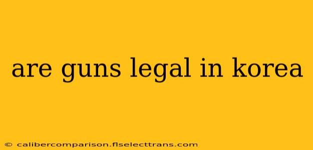 are guns legal in korea