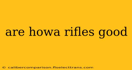 are howa rifles good