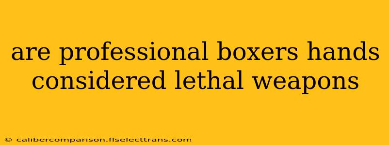 are professional boxers hands considered lethal weapons