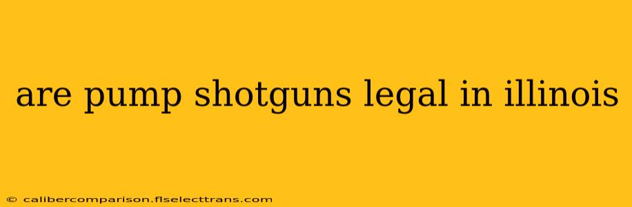 are pump shotguns legal in illinois