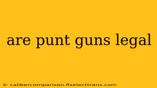 are punt guns legal