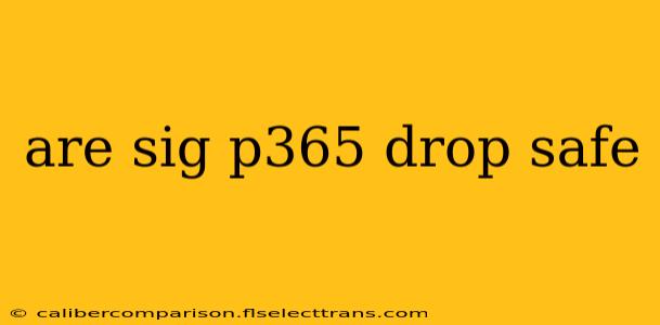 are sig p365 drop safe