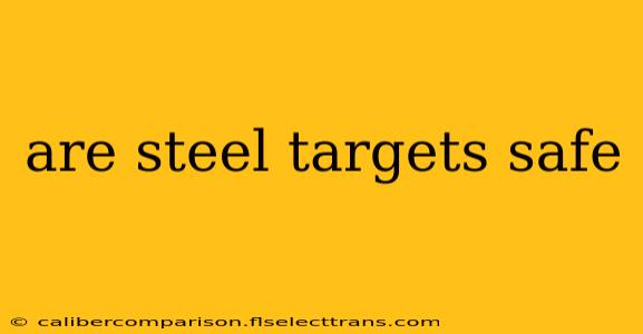 are steel targets safe