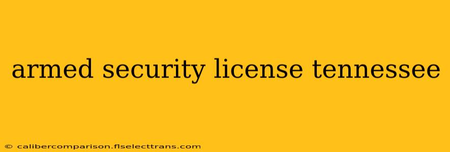 armed security license tennessee