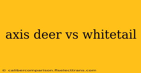 axis deer vs whitetail