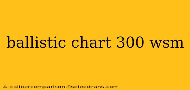 ballistic chart 300 wsm