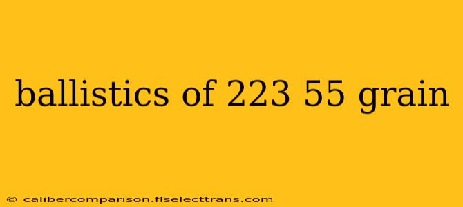 ballistics of 223 55 grain