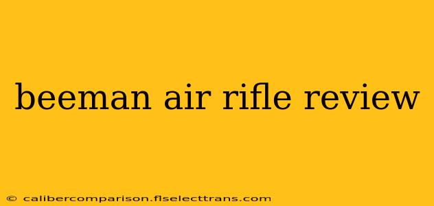 beeman air rifle review