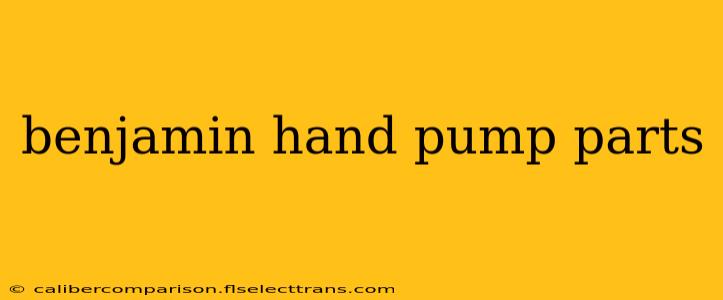 benjamin hand pump parts