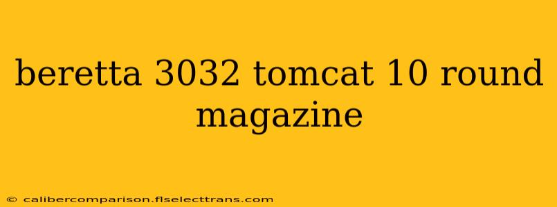 beretta 3032 tomcat 10 round magazine