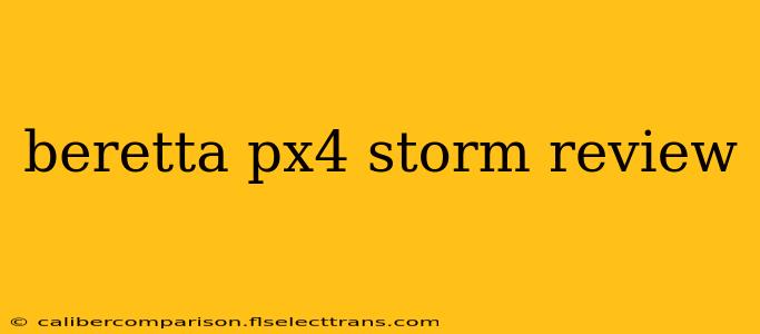 beretta px4 storm review