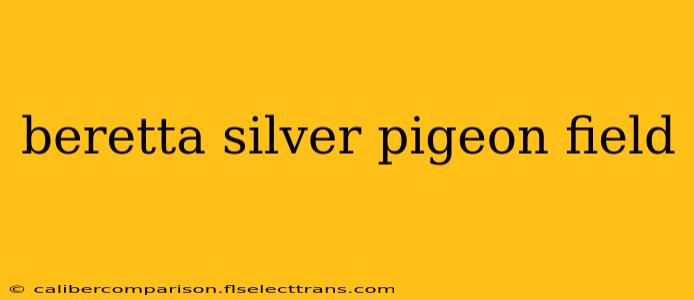 beretta silver pigeon field