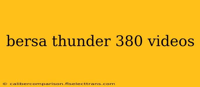 bersa thunder 380 videos