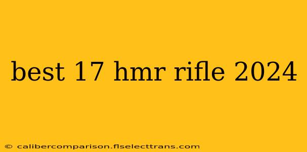 best 17 hmr rifle 2024