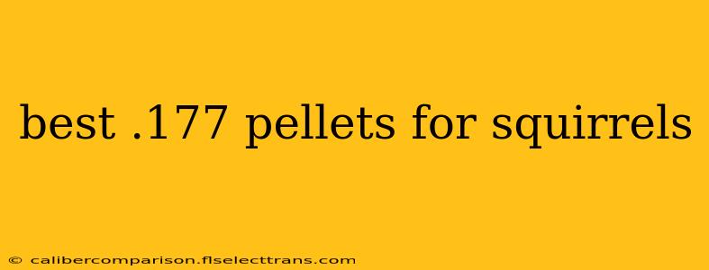 best .177 pellets for squirrels