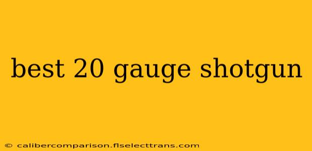 best 20 gauge shotgun