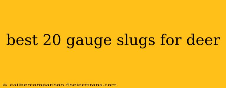 best 20 gauge slugs for deer