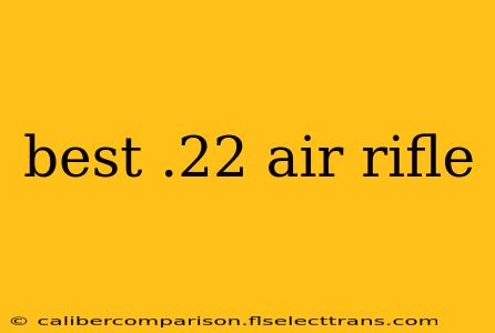 best .22 air rifle