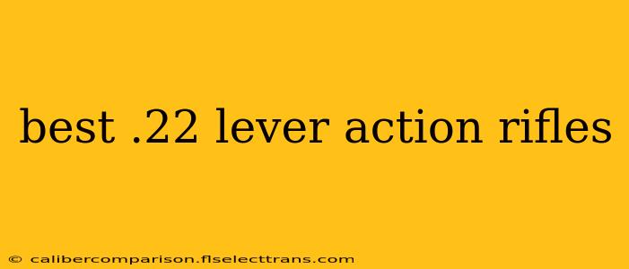 best .22 lever action rifles