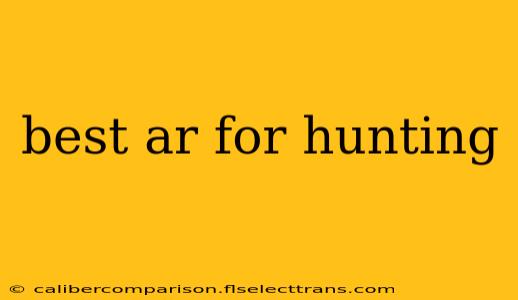 best ar for hunting