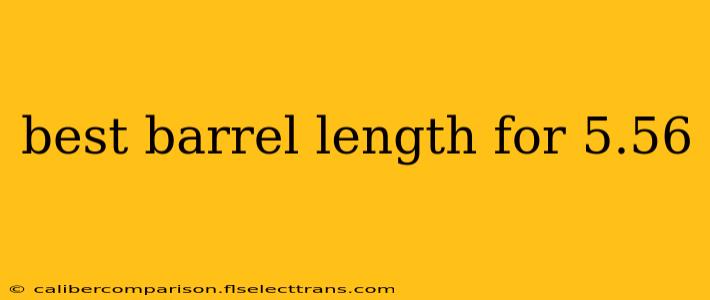 best barrel length for 5.56