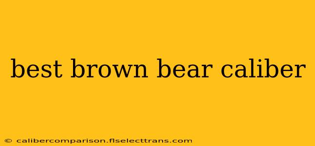 best brown bear caliber