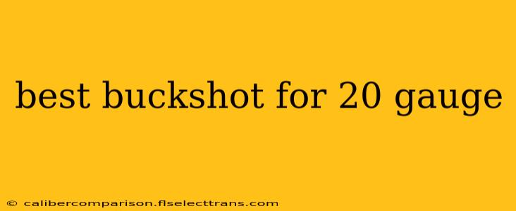 best buckshot for 20 gauge