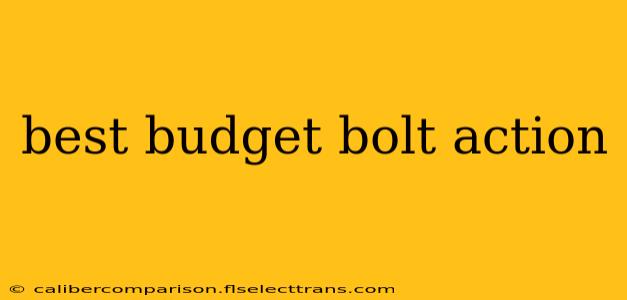 best budget bolt action