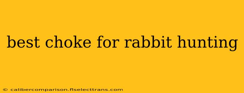 best choke for rabbit hunting