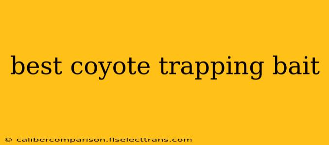 best coyote trapping bait