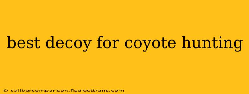 best decoy for coyote hunting