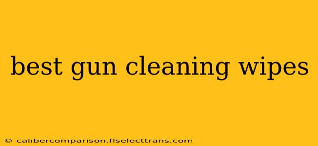 best gun cleaning wipes