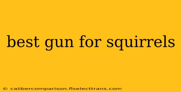 best gun for squirrels