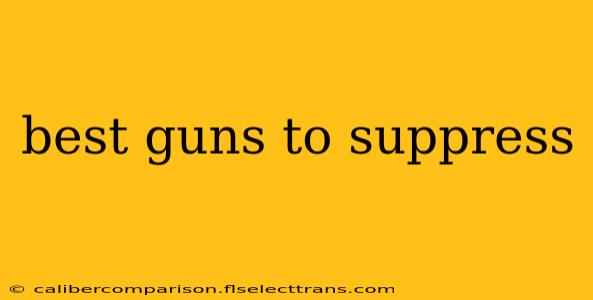 best guns to suppress