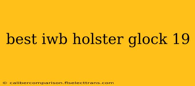 best iwb holster glock 19