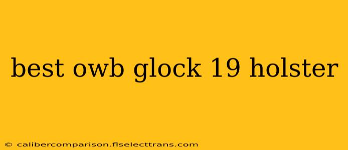 best owb glock 19 holster