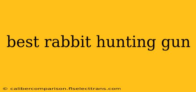 best rabbit hunting gun