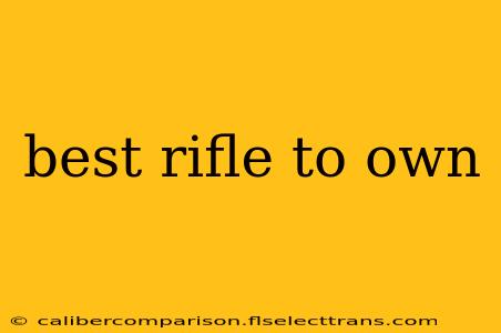 best rifle to own