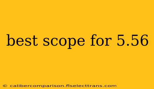 best scope for 5.56